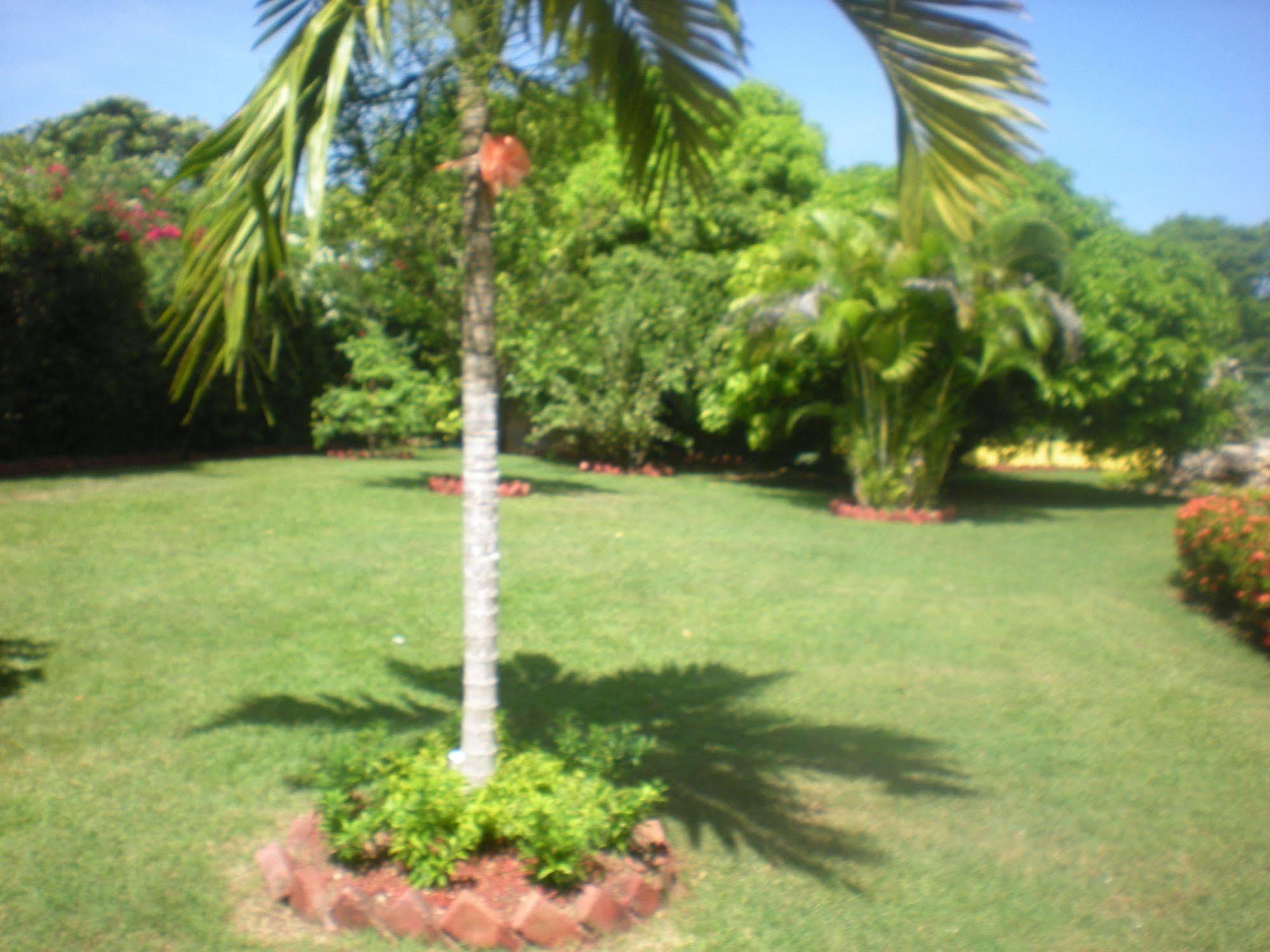 Villa Sonate راناوي باي المظهر الخارجي الصورة